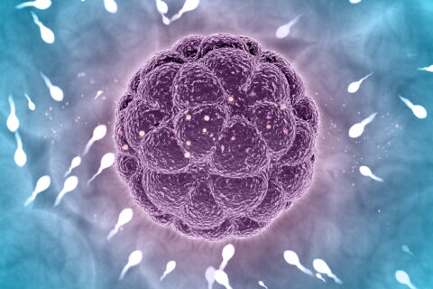 Comprehensive Male Fertility Services