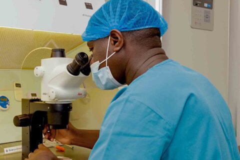 In Vitro Fertilization (IVF)